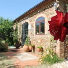 Casa Chantino