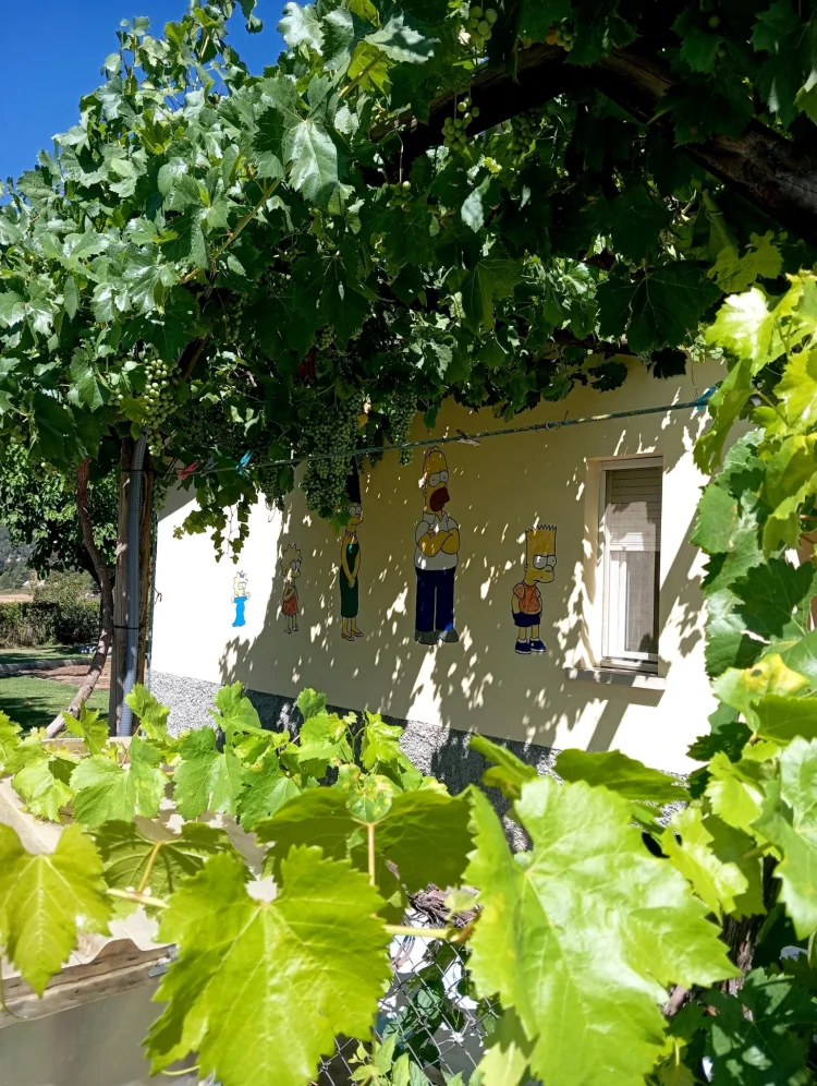 Imagen de Porche, uvas, simpsons