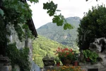 Casa Miquel 