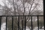 Otoño-Invierno