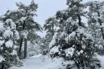 Nieve y aventura en la Sierra de Cazorla 
