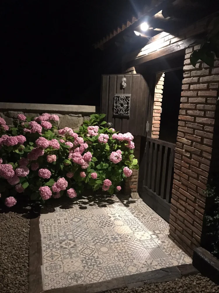Imagen de Entrada