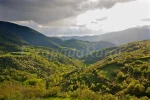 Naturaleza,relax,ven a disfrutar zona parc natural alt pirineu