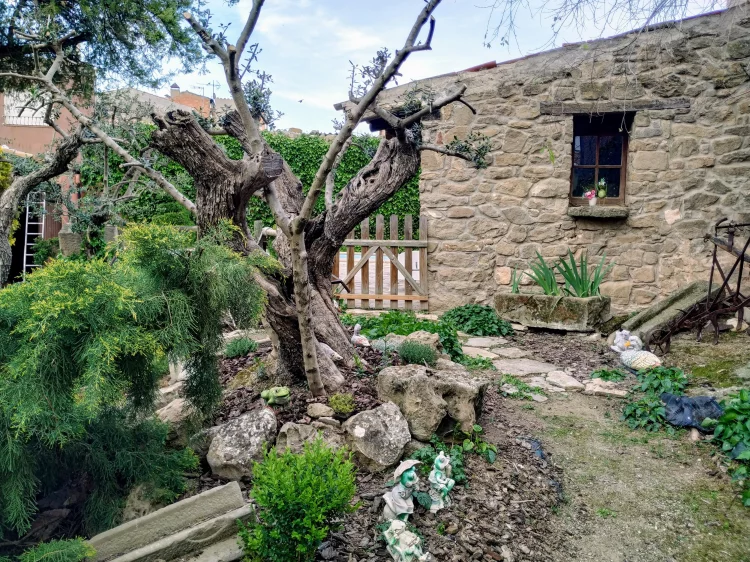 Imagen de jardí