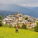 Tornafort en primavera
