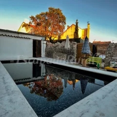 El Olivar del Gato