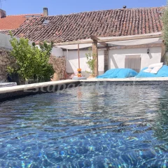 El Olivar del Gato