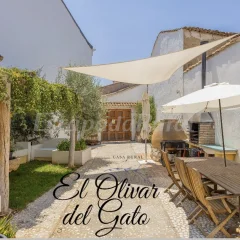 El Olivar del Gato