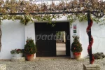 Navidad