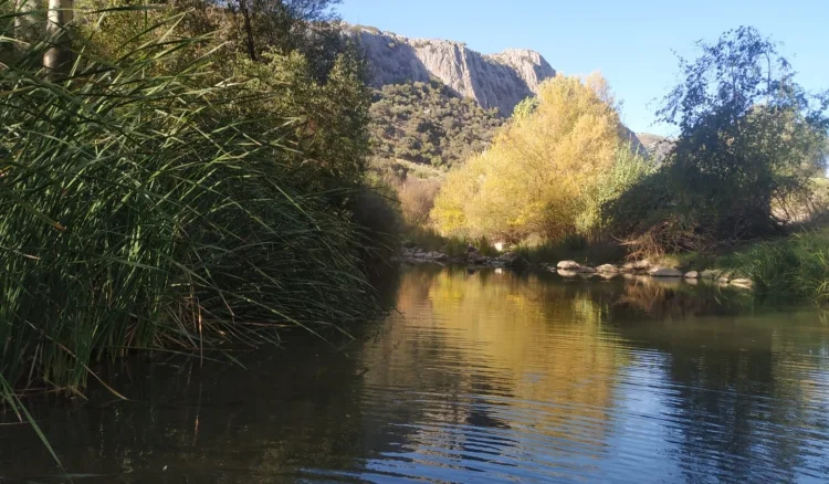 Imagen de Rio Guadiaro
