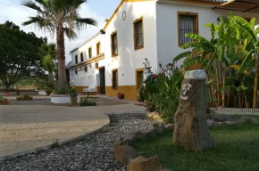 Imagen de Cortijo El Almendro