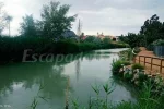 "OFERTA PARA EL PUENTE DE LA VIRGEN"