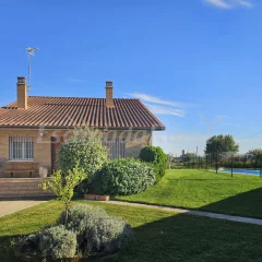 Mi Limón Mi Limonero