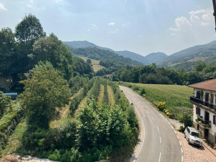 Imagen de Una vista desde Graciosenea