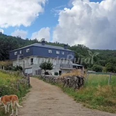 Vista Estrelada