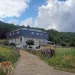 Vista Estrelada