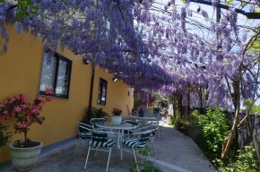 Imagen de Casa Vieira