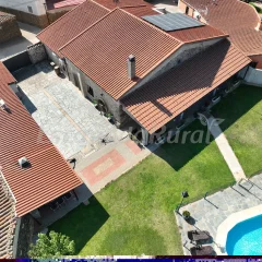 El Almendro del Cura