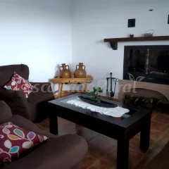 La Sombra Del Lagarto