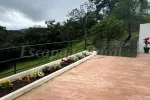 Semanas de Verano