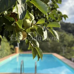 Casa Rural Orilla del Hueznar