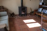 Otoño,tiempo de tranquilidad , setas ,colores  y berrea