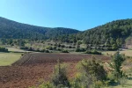 Los colores del otoño en la Sierra de Albarracín