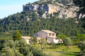 Imagen de Mas de la Umbria