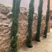 Casa Miguela y Florentin.Patio