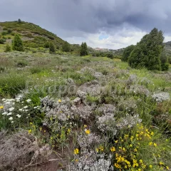 Casa Rural Casa Villanueva