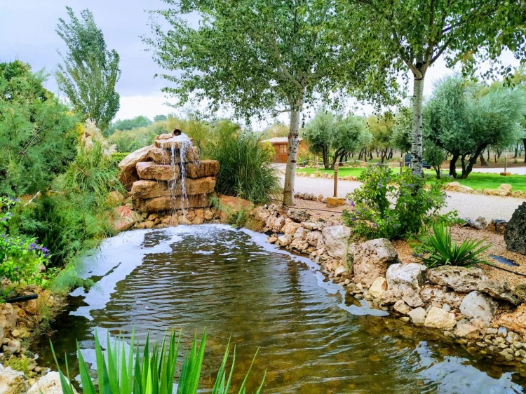 Imagen de Estanque