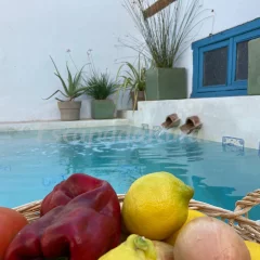 Casa Cuqui