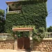 El sauco de Villarroya